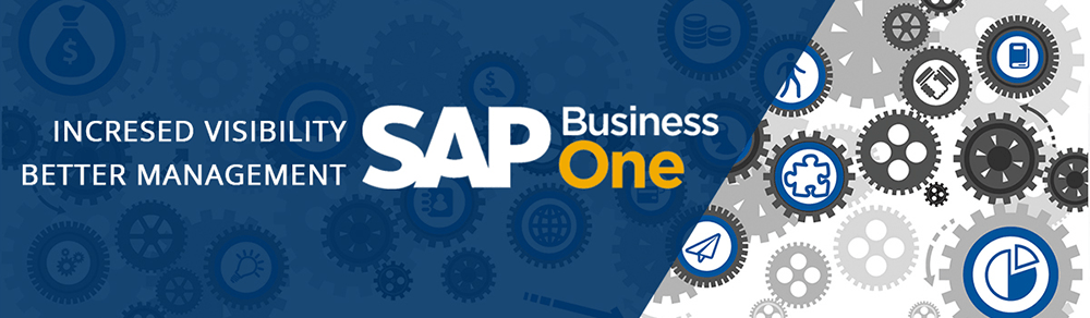 SAP Business One安裝