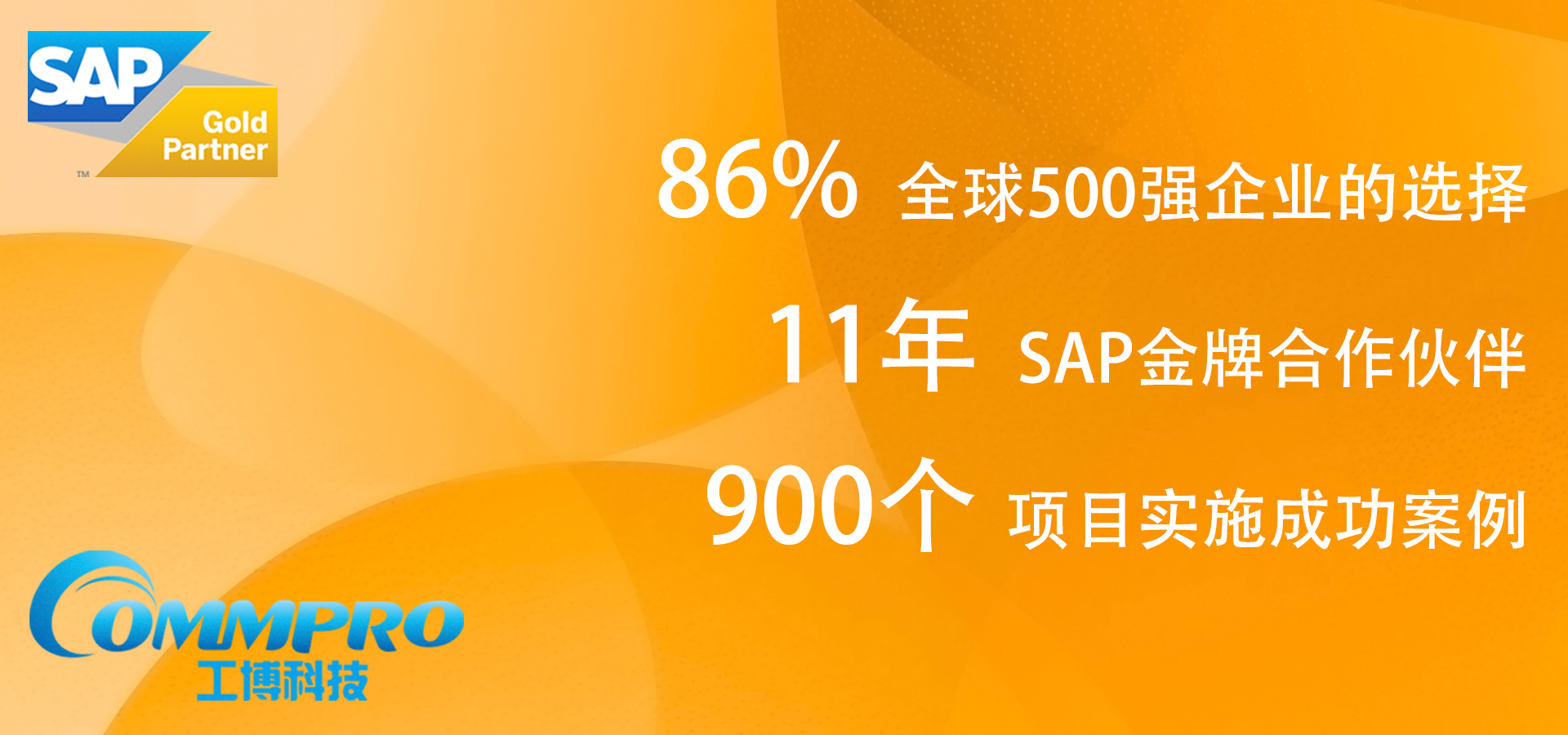 SAP Business ByDesign,Oracle NetSuite,SAP廠商