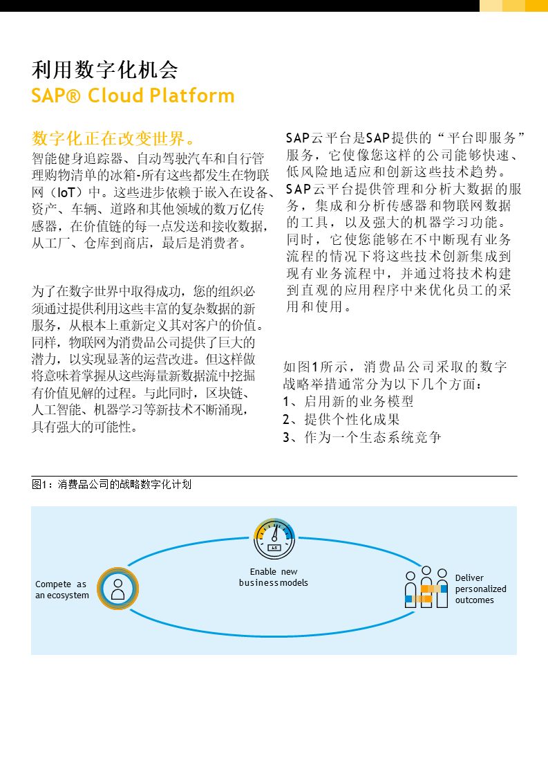 SAP消費品解決方案,SAP Cloud Platform,智能ERP解決方案