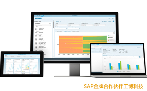 SAP系統,企業管理系統,ERP軟件系統,SAP系統優勢,SAP系統實施商