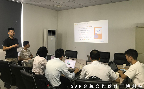 SAP B1企業管理軟件，SAP ERP項目,中小企業的信息化方案,SAP Business One系,SAP ERP管理軟件