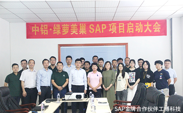 美巢家居ERP,綠蘿美巢ERP,中國鋁業集團ERP,SAP Business One系統，中鋁·綠蘿美巢SAP ERP項目