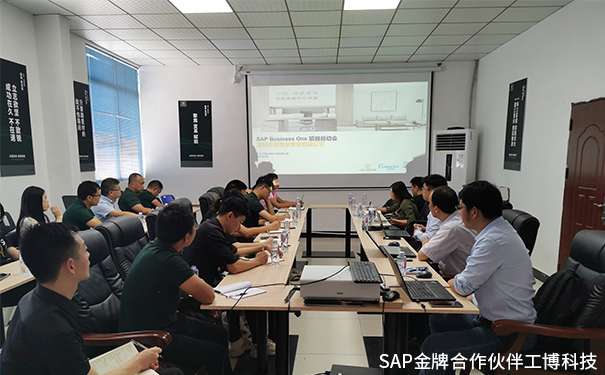 美巢家居ERP,綠蘿美巢ERP,中國鋁業集團ERP,SAP Business One系統，中鋁·綠蘿美巢SAP ERP項目