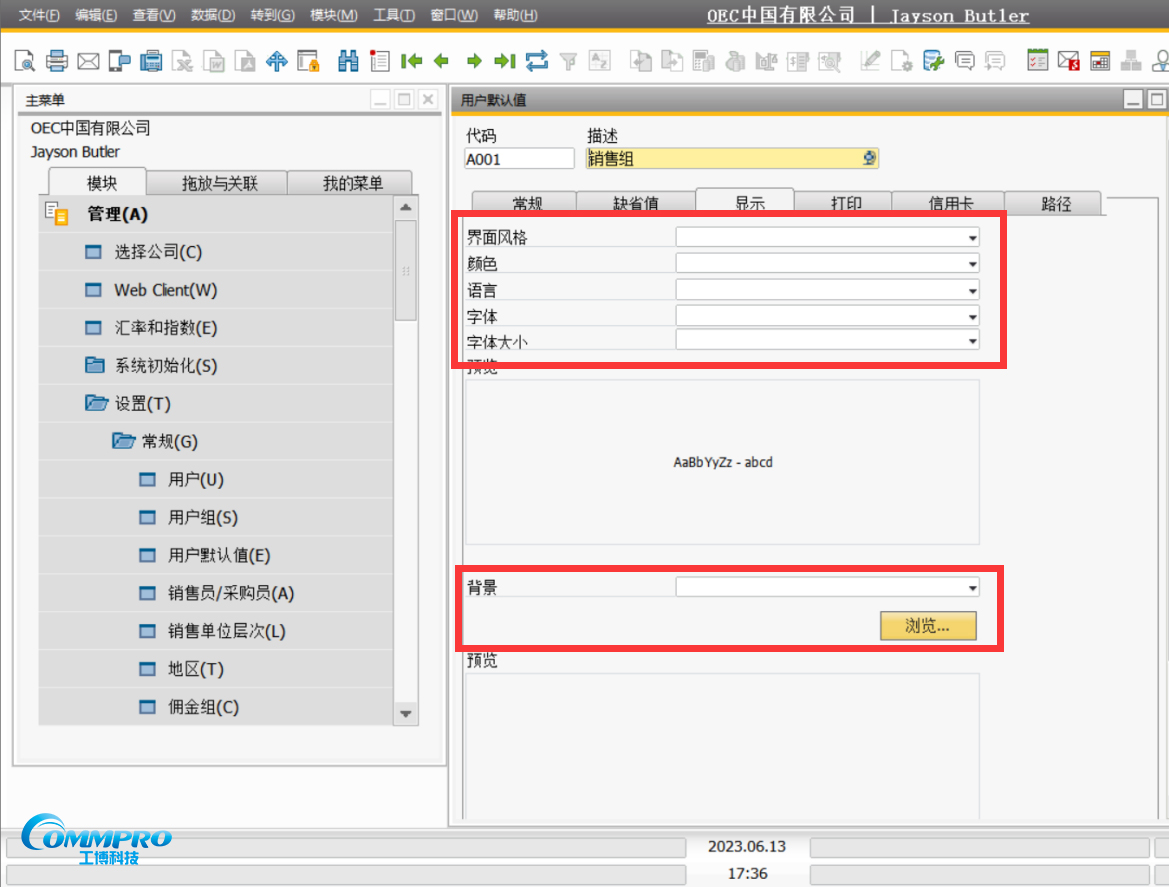 SAP B1操作教程