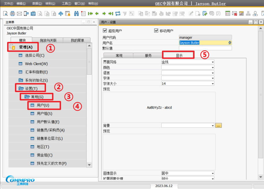 SAP B1用戶界面設置