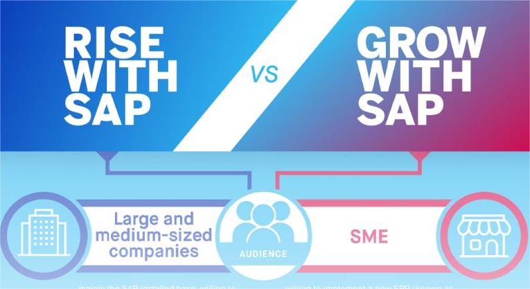 GROW with SAP和RISE with SAP有什么不同？